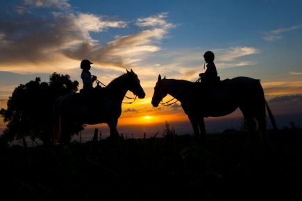 Puakea Ranch, Kohala Coast